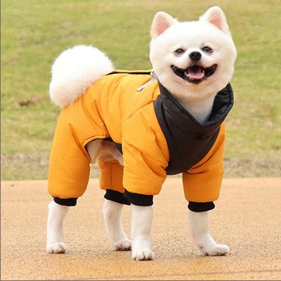 Doudoune Pour Chien - WarmJacketDog™ - Jaune - HIVER CHIEN