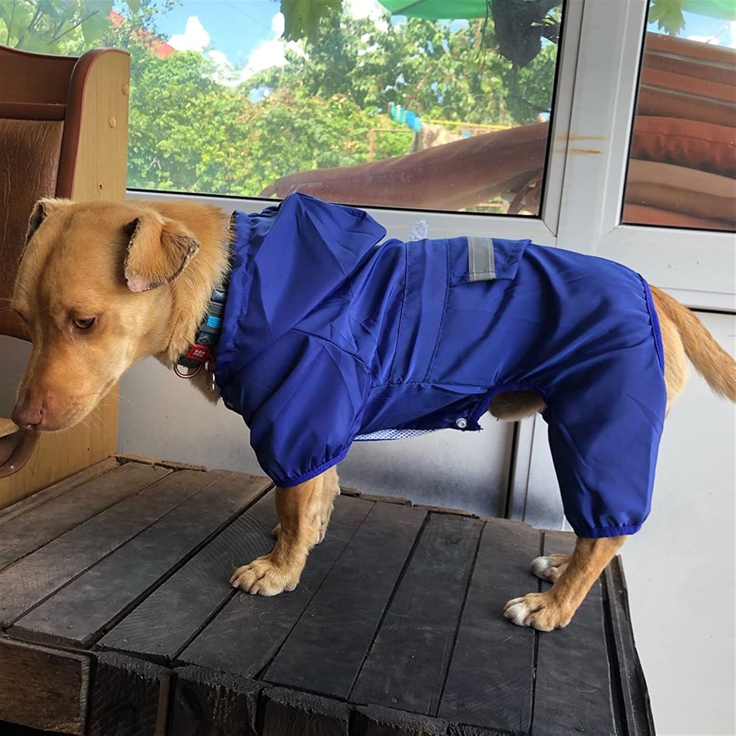 Manteau pour Chien - DogWaterproofCoat™ - Bleu - HIVER CHIEN