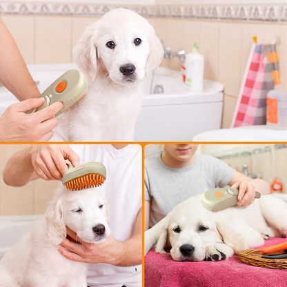brosse vapeur chien