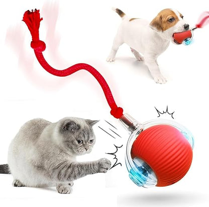 Balle Électrique Interactive pour Chiens et Chats