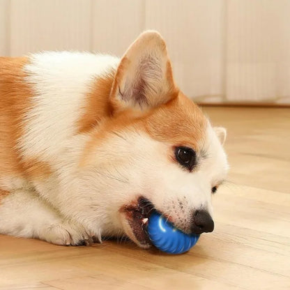 Balle de jouet interactive pour chien, rechargeable en USB, rotative et résistante à la mastication, idéale pour chiot et petit chien.