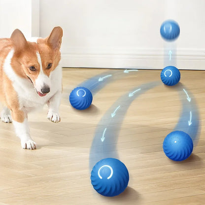 Balle de jouet interactive pour chien, rechargeable en USB, rotative et résistante à la mastication, idéale pour chiot et petit chien.