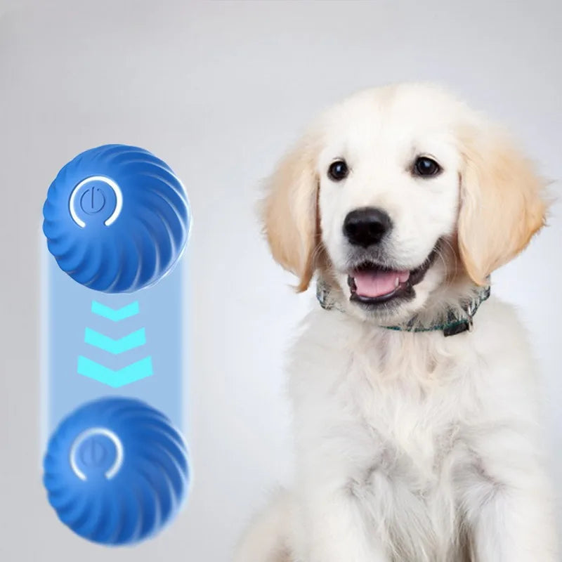 Balle de jouet interactive pour chien, rechargeable en USB, rotative et résistante à la mastication, idéale pour chiot et petit chien.