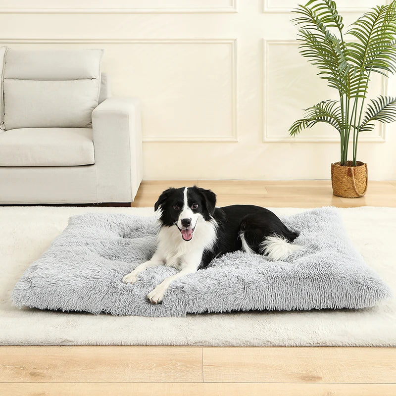 Lit Moelleux Anti-Stress pour Chiens & Chats