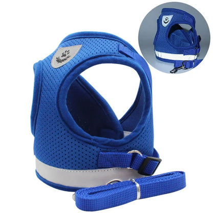Harnais Réglable et Laisse pour Chats &amp; Petits Chiens