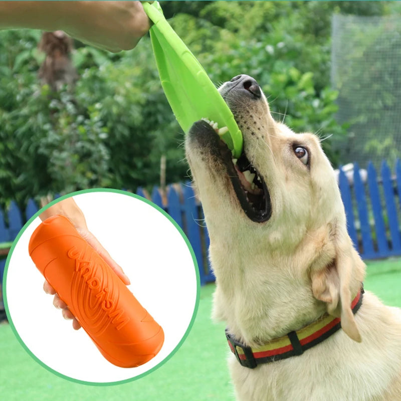 Jouets pour chiens, disque volant