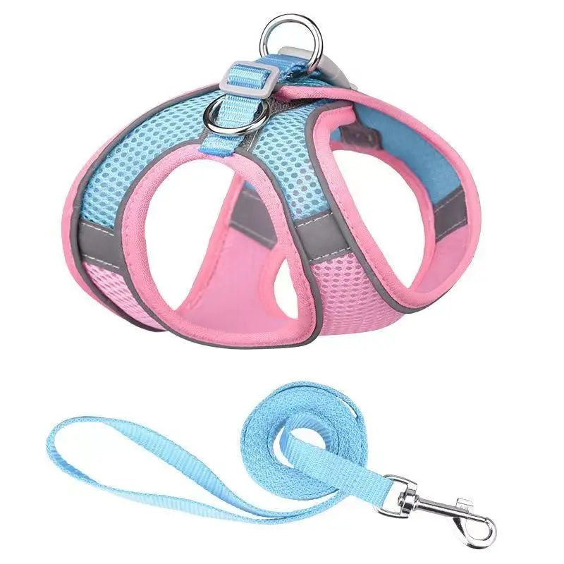 Harnais  Laisse pour Petits Chiens