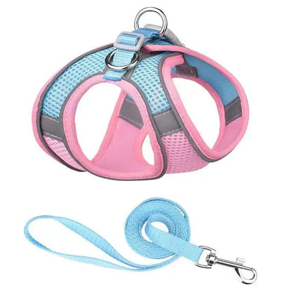 Harnais  Laisse pour Petits Chiens