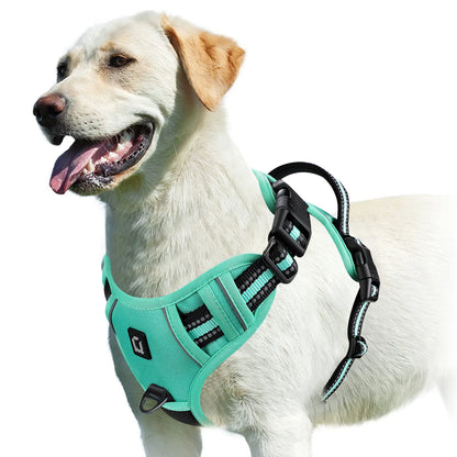 Harnais Pour chien