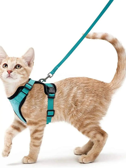 Harnais et Laisse pour Chat