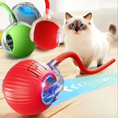Balle Électrique Interactive pour Chiens