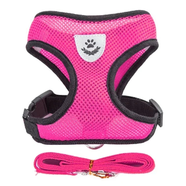 Harnais Gilet avec Laisse de Marche pour Chien