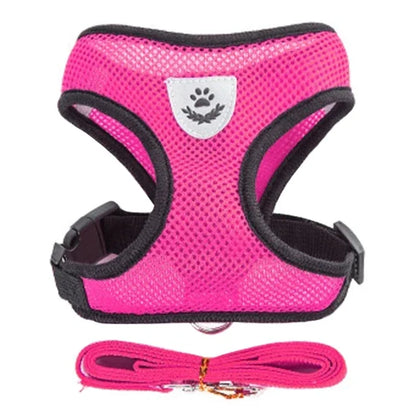 Harnais Gilet avec Laisse de Marche pour Chien