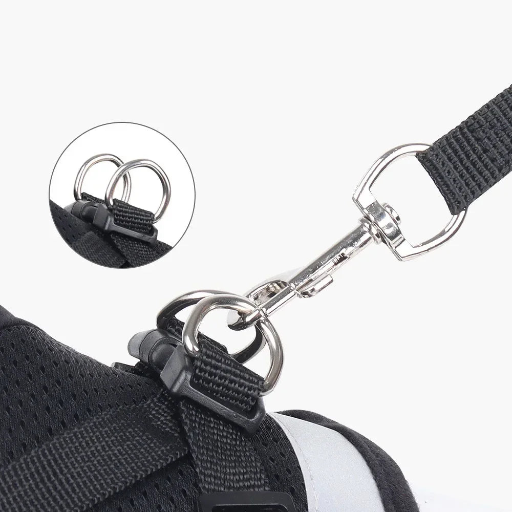 Harnais Réglable et Laisse pour Chats &amp; Petits Chiens
