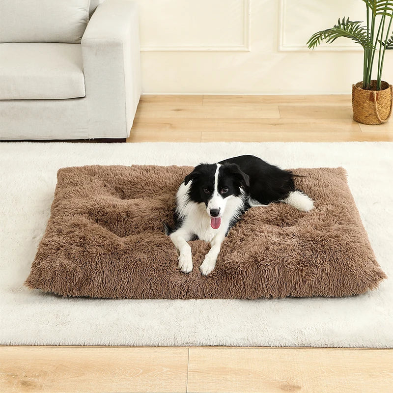 Lit Moelleux Anti-Stress pour Chiens & Chats