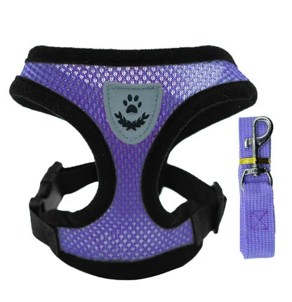 Harnais Gilet avec Laisse de Marche pour Chien