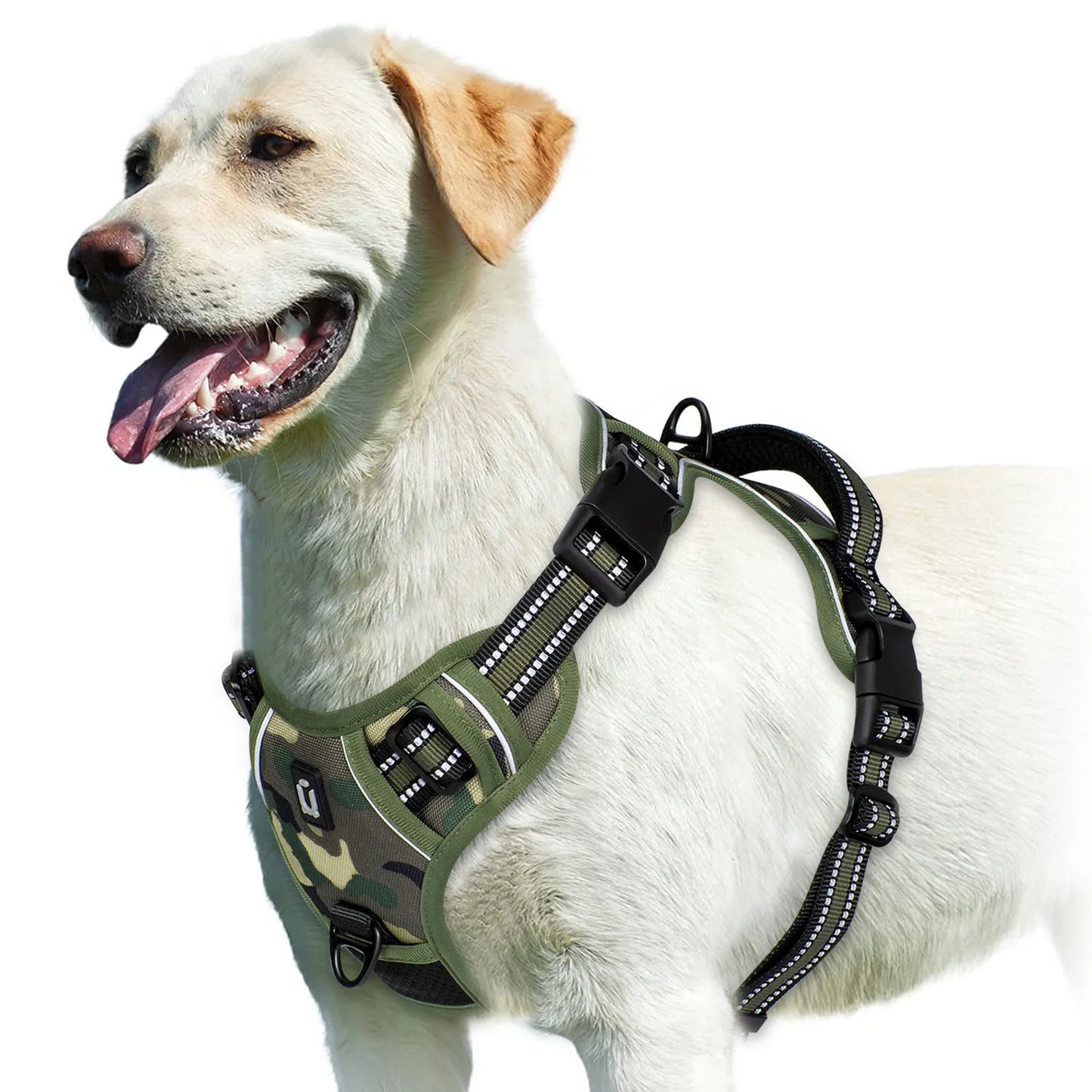 Harnais Pour chien