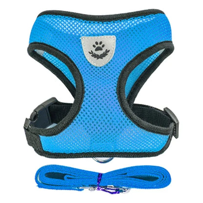 Harnais Gilet avec Laisse de Marche pour Chien