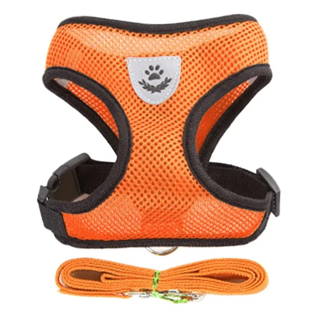 Harnais Gilet avec Laisse de Marche pour Chien