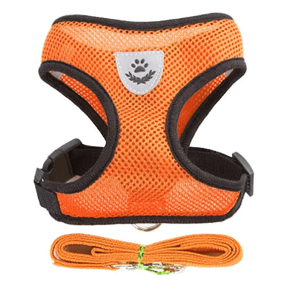 Harnais Gilet avec Laisse de Marche pour Chien