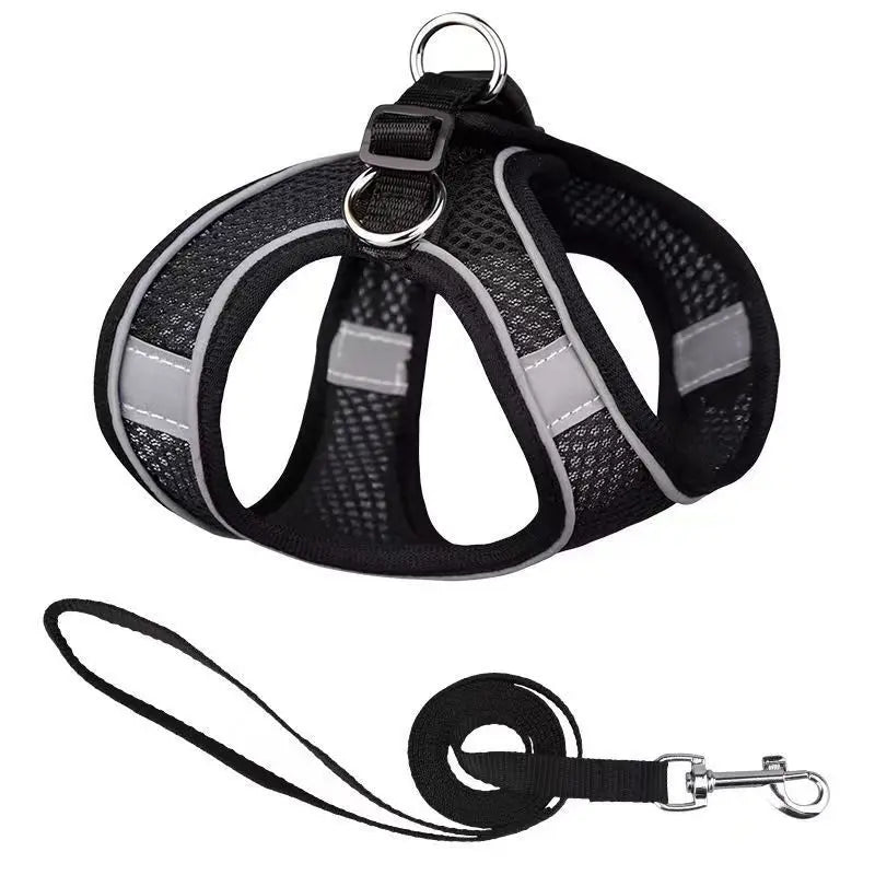 Harnais  Laisse pour Petits Chiens