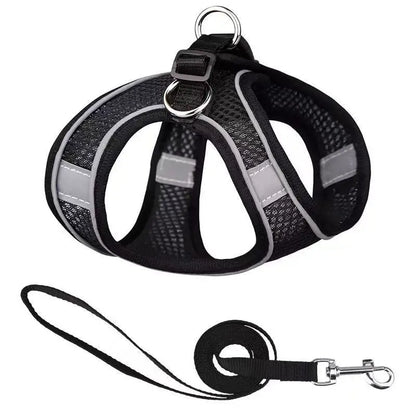 Harnais  Laisse pour Petits Chiens