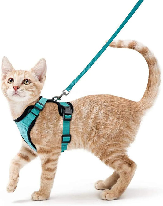 Harnais et Laisse pour Chat