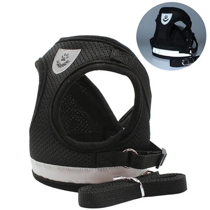 Harnais Réglable et Laisse pour Chats &amp; Petits Chiens
