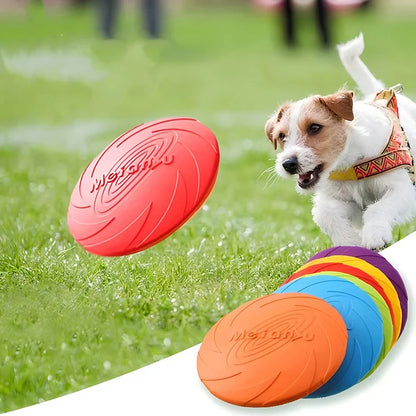 Jouets pour chiens, disque volant