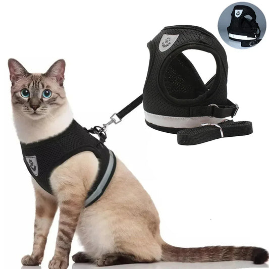 Harnais Réglable et Laisse pour Chats &amp; Petits Chiens