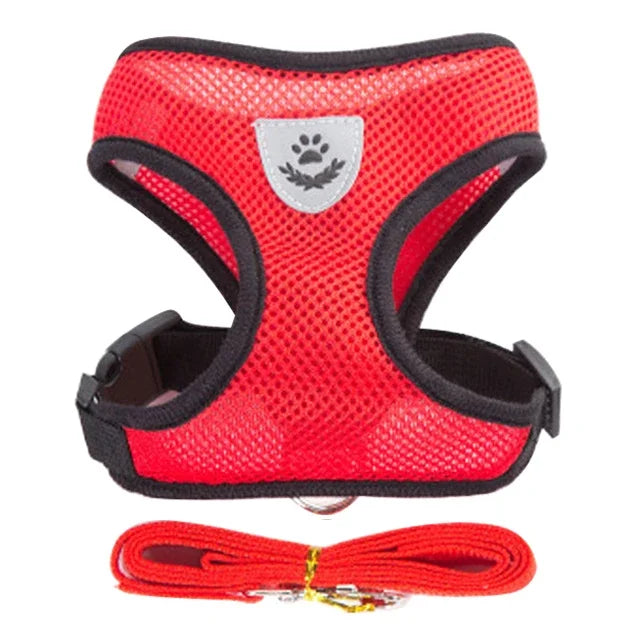 Harnais Gilet avec Laisse de Marche pour Chien