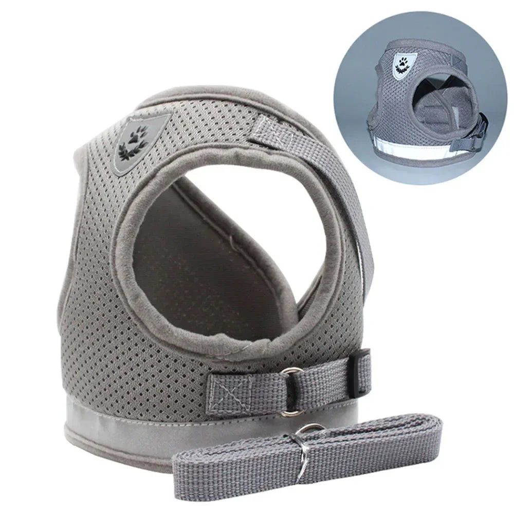 Harnais Réglable et Laisse pour Chats &amp; Petits Chiens
