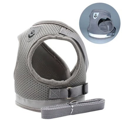 Harnais Réglable et Laisse pour Chats &amp; Petits Chiens