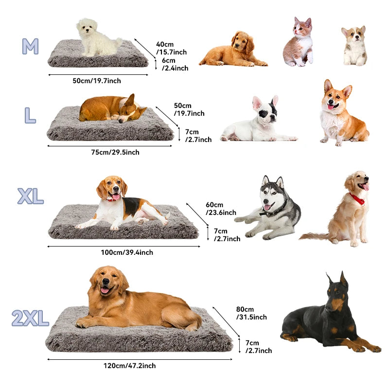 Coussin Orthopédique Carré Doux