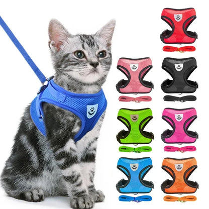 Harnais Gilet avec Laisse de Marche pour Chien