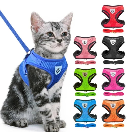 Harnais Gilet avec Laisse de Marche pour Chien