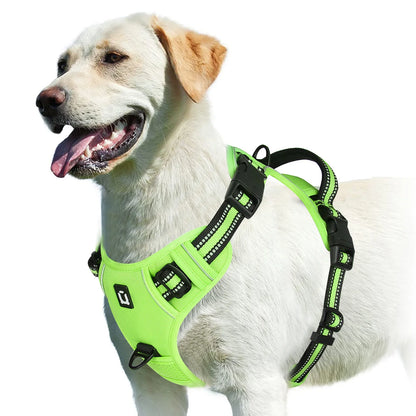 Harnais Pour chien