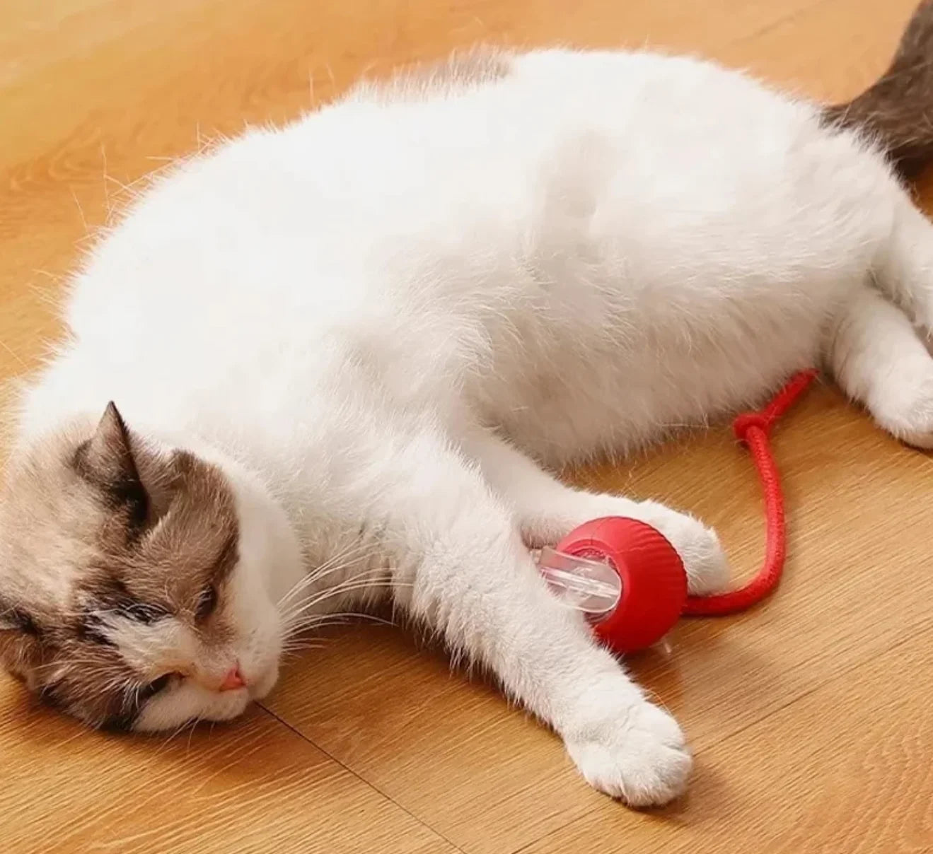 Balle Électrique Interactive pour Chiens et Chats