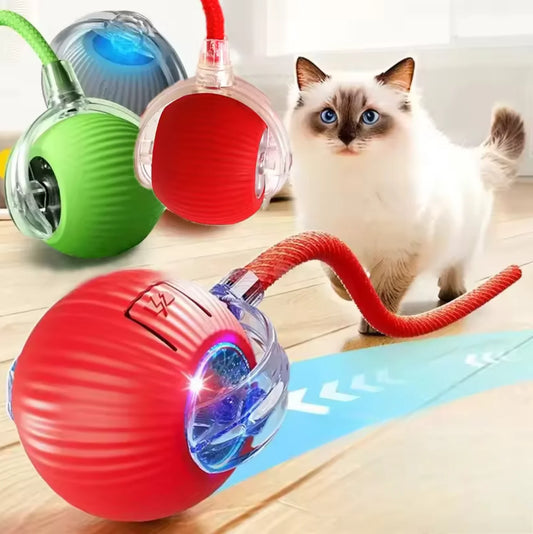 Balle Électrique Interactive pour Chiens