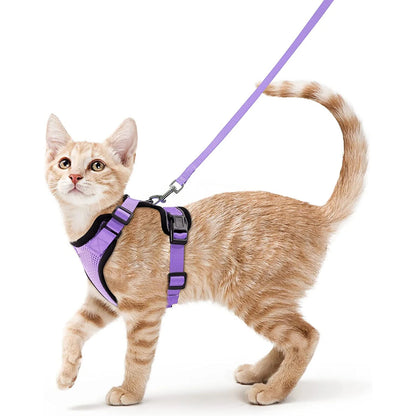 Harnais et Laisse pour Chat
