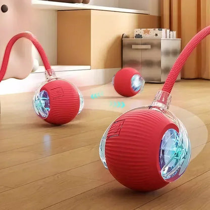 Balle Électrique Interactive pour Chiens et Chats