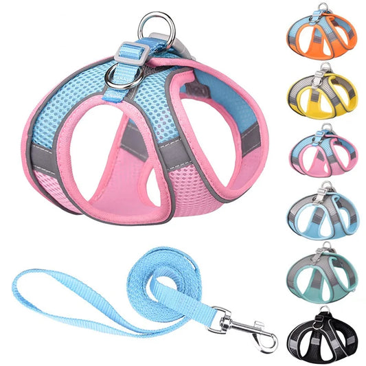 Harnais  Laisse pour Petits Chiens