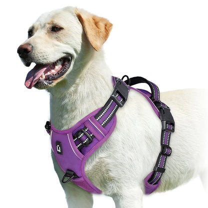 Harnais Pour chien