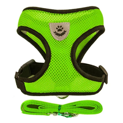 Harnais Gilet avec Laisse de Marche pour Chien