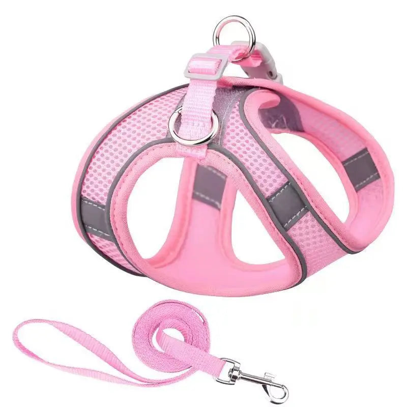 Harnais  Laisse pour Petits Chiens