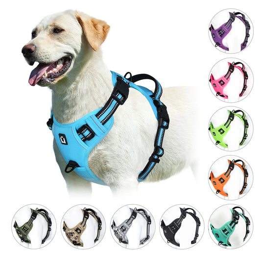 Harnais Pour chien