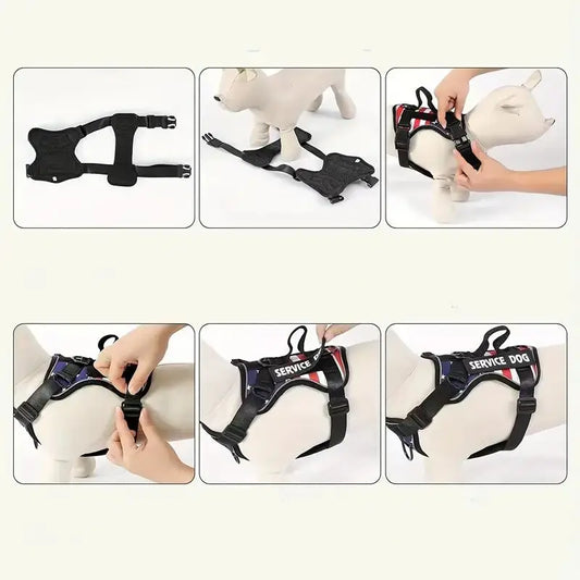 Harnais et Laisse pour Chien