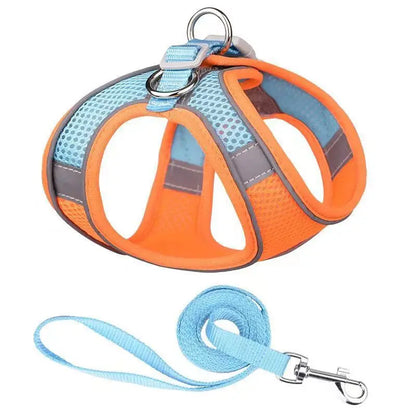 Harnais  Laisse pour Petits Chiens