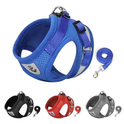 Harnais Réglable et Laisse pour Chats &amp; Petits Chiens