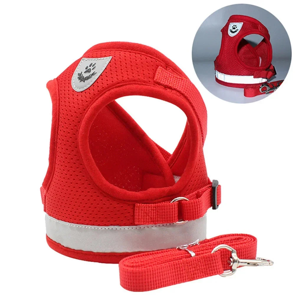 Harnais Réglable et Laisse pour Chats &amp; Petits Chiens